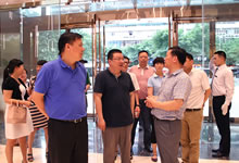 lewin乐玩官网-相信品牌力量