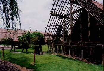 未定名-1.jpg