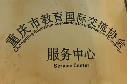 lewin乐玩官网-相信品牌力量